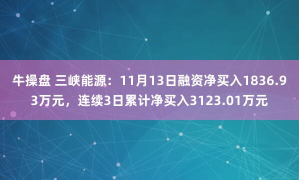 牛操盘 三峡能源：11月13日融资净买入1836.93万元，连续3日累计净买入3123.01万元