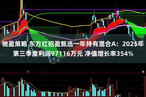 驰盈策略 东方红招盈甄选一年持有混合A：2025年第三季度利润97116万元 净值增长率354%