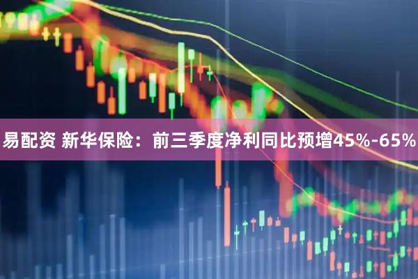易配资 新华保险：前三季度净利同比预增45%-65%